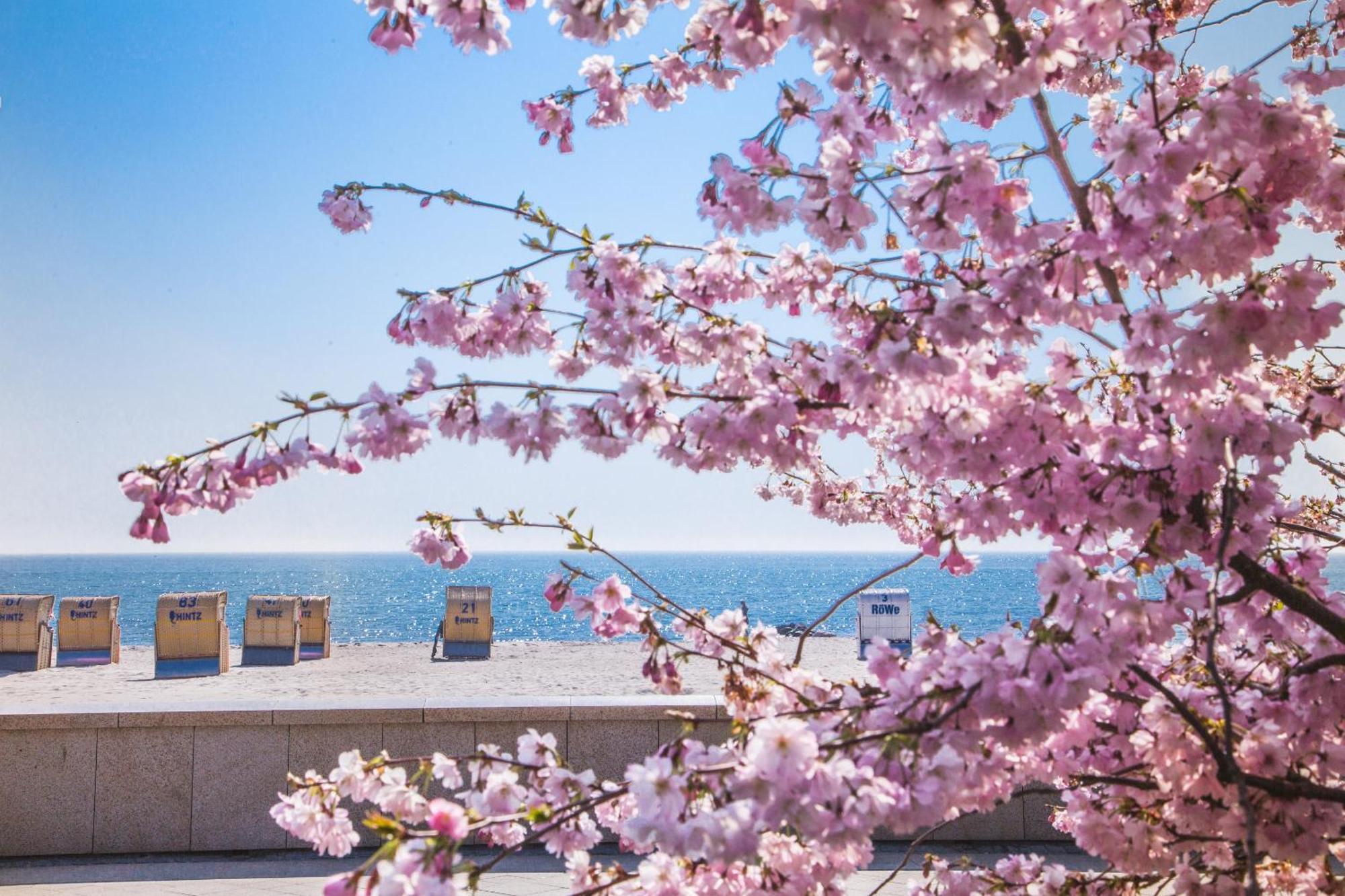 Pink Und Meer - Meerblick, Sauna, Kamin & Whirlpool Baabe Exterior foto